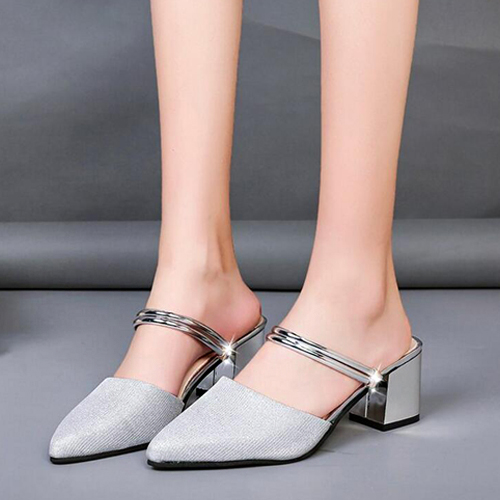 SS2101Silver