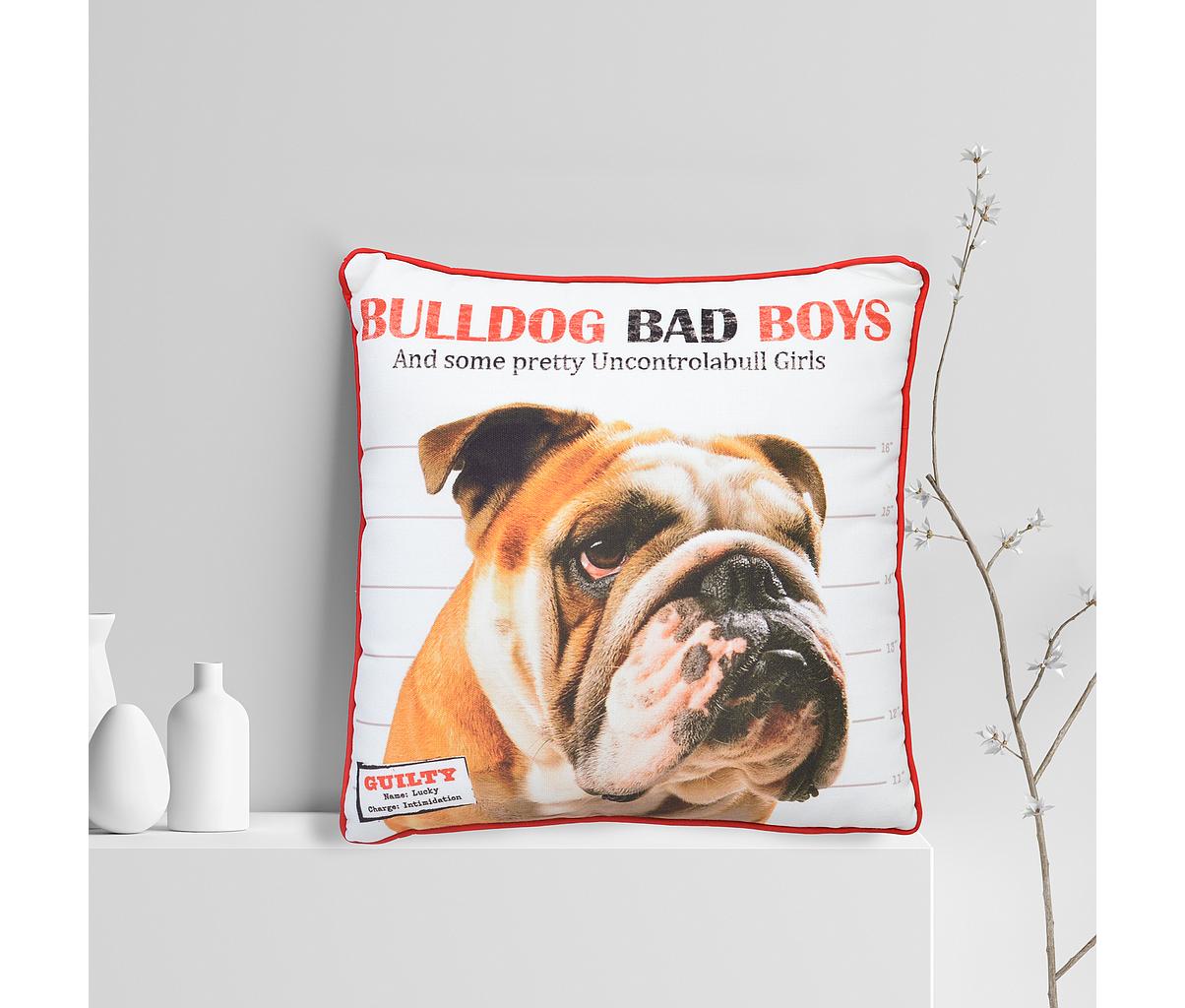 PL09Bulldog